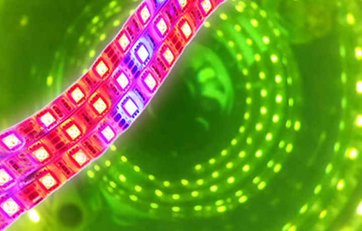 LED Lichtquelle des LUMO Lichtmoduls für MINIFOR PBR Photobioreaktoren