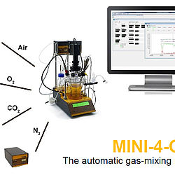 MINI-4-GAS Gasmischanlage