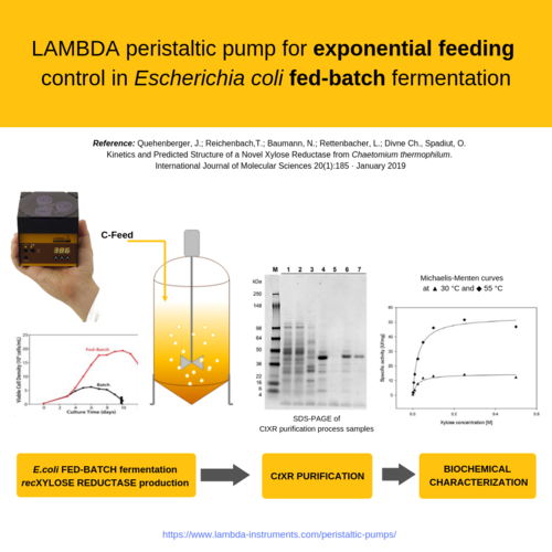 LAMBDA peristaltic pump used to control feeding in Fed-Batch fermentation LAMBDA laboratory peristaltic pump used to control feeding in Fed-Batch fermentation