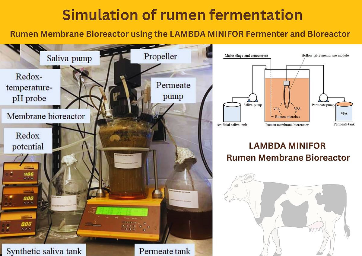 Rumen_Membrane_Bioreactor_using_the_LAMBDA_MINIFOR_Fermenter_and_Bioreactor