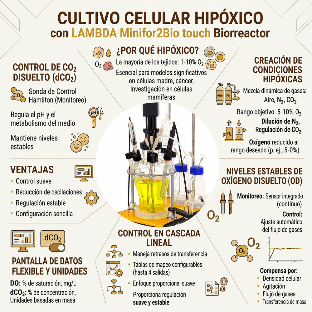 Cultivo celular hipóxico en el biorreactor de laboratorio LAMBDA Minifor2Bio