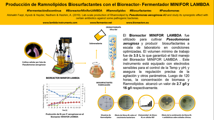 Bioreactor LAMBDA MINIFOR para la producción a escala de banco de Ramnolípidos Biosurfactantes secretados por Pseudomonas aeruginosa A3