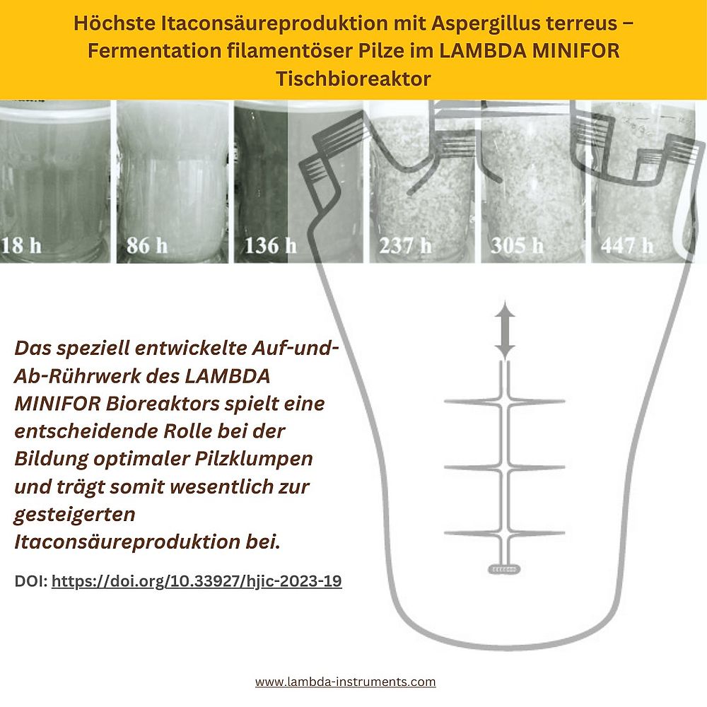 Höchste Itaconsäureproduktion mit Aspergillus terreus – Fermentation filamentöser Pilze im LAMBDA MINIFOR Tischbioreaktor