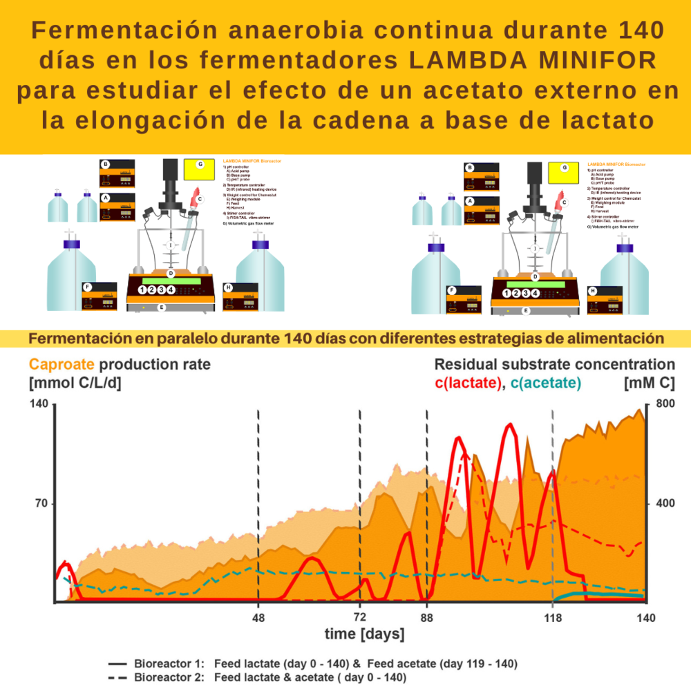 Para estudiar el efecto de un acetato externo sobre la elongación de la cadena a base de lactato, los fermentadores LAMBDA MINIFOR funcionaron en paralelo durante 140 días