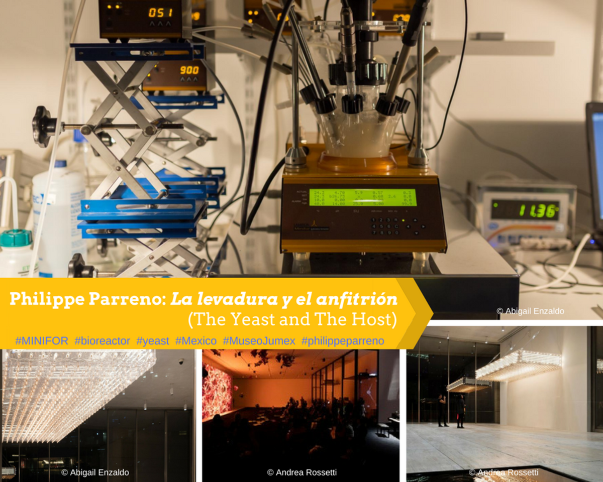 MINIFOR bioreactor in La levadura y el anfitrión (The Yeast and The Host) by French artist Philippe Parreno in Museo Jumex, Mexico