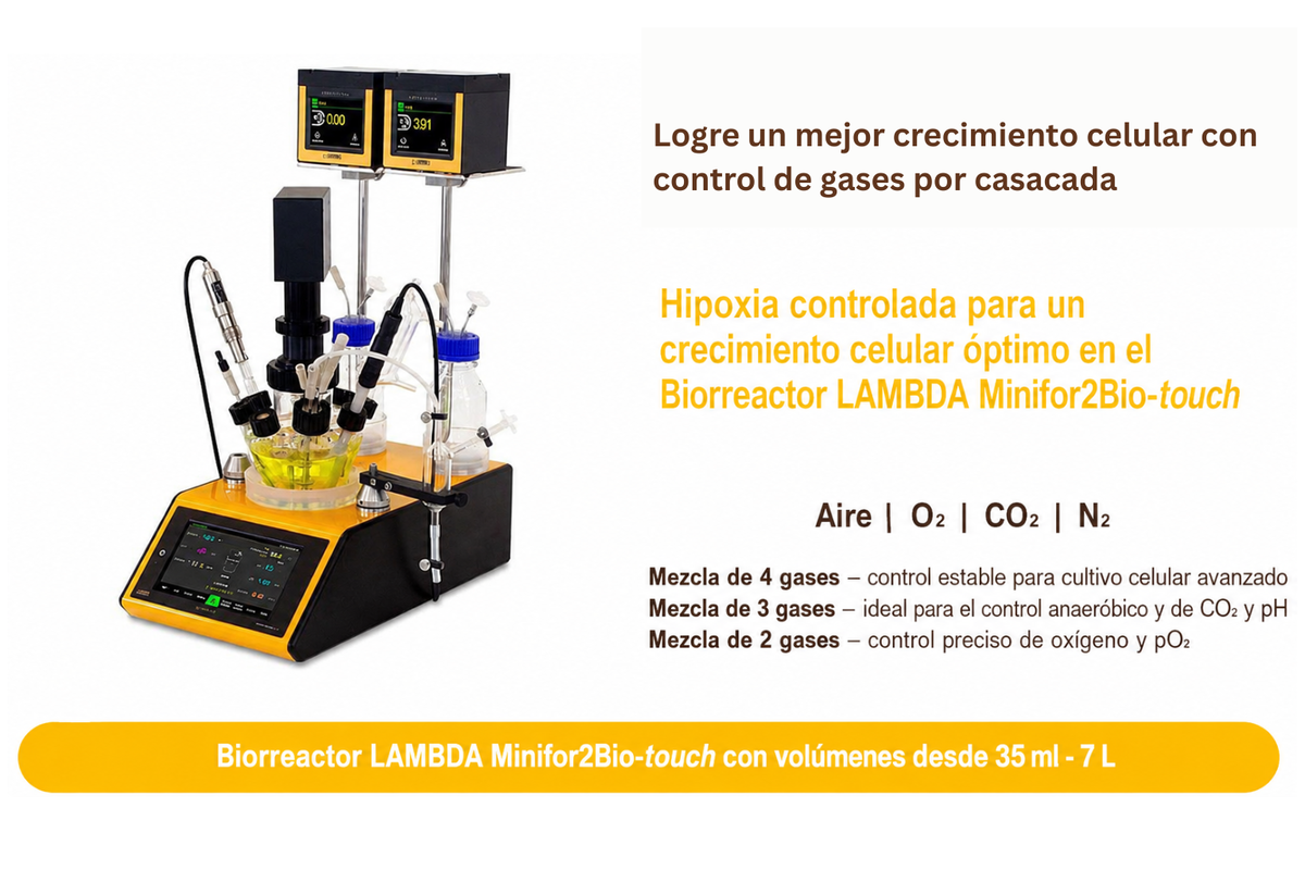 Cultivo hipóxico estable mediante control en cascada lineal para la regulación de gases en el biorreactor LAMBDA Minifor2Bio touch