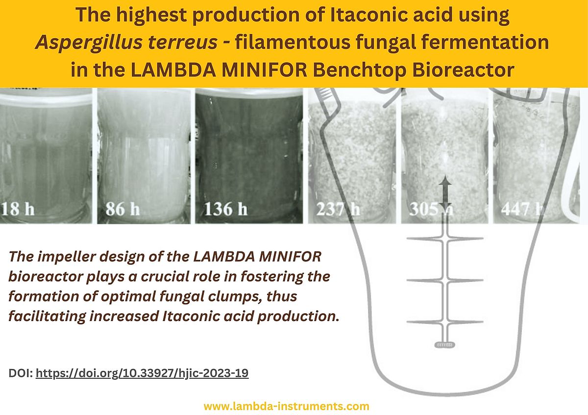 LAMBDA MINIFOR Fermenter-Bioreactor for filamentous fungal fermentation