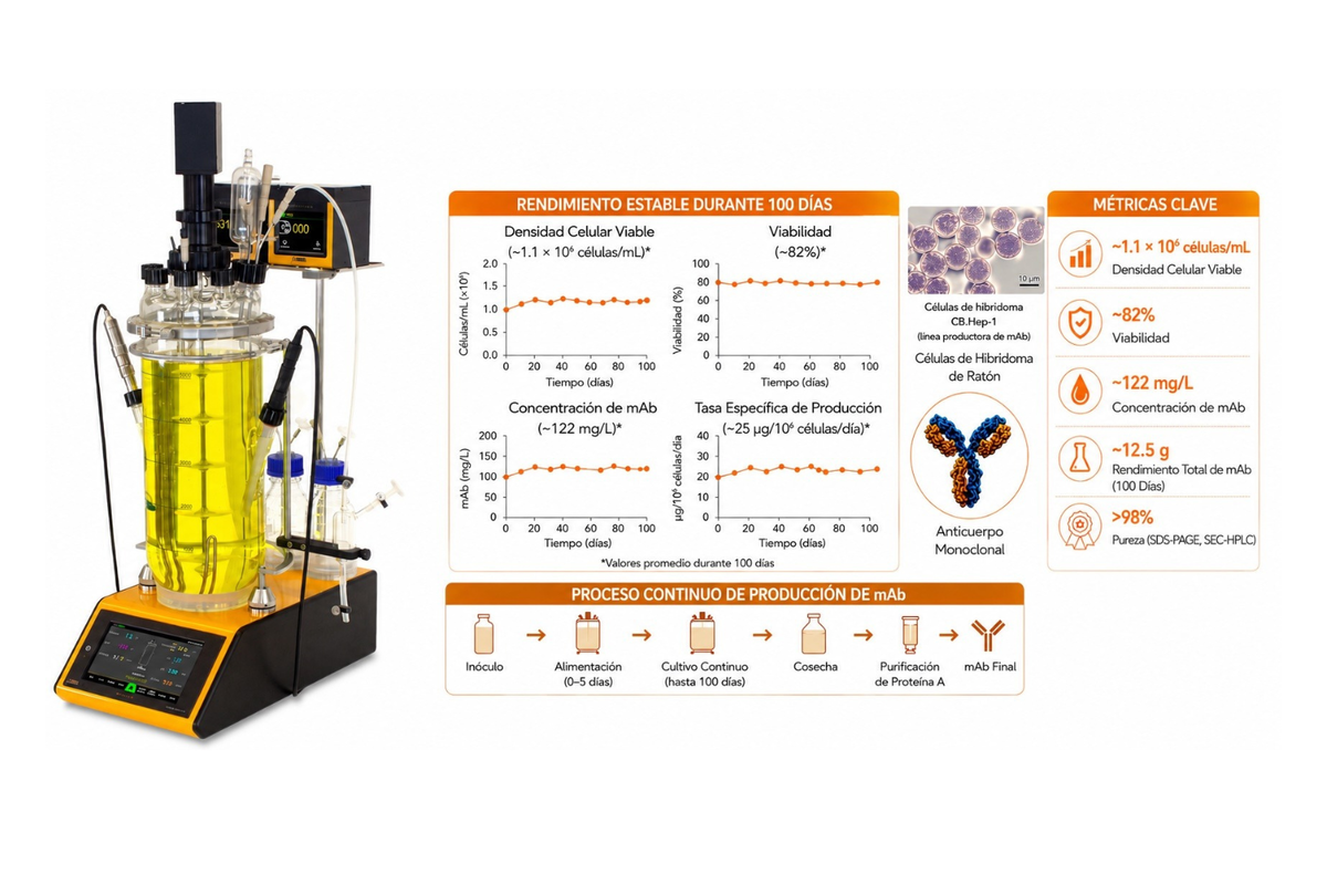 Producción continua de anticuerpos monoclonales (mAb) en el biorreactor de laboratorio LAMBDA MINIFOR