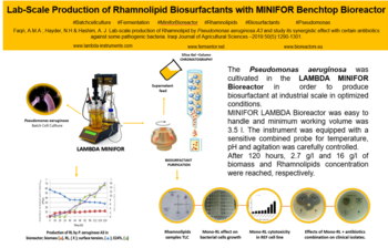 Produktion von Rhamnolipid Biotensid im 7L Laborfermenter LAMBDA  MINIFOR und anschliessende Aufarbeitung