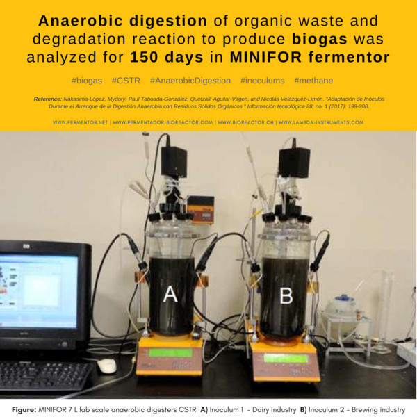 MINIFOR fermenter as continuous anaerobic flow stirred digesters