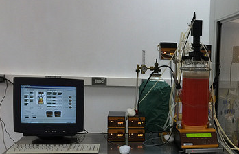 MINIFOR lab-scale bioreactor 7 L vessel, MINI-4-GAS gas mix and SIAM fermentation software, for antibody production