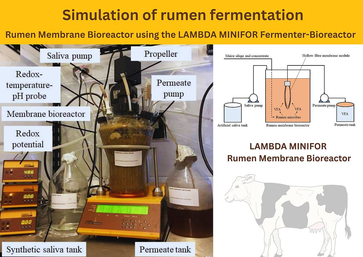 Rumen Bioreactor using the LAMBDA MINIFOR Fermenter-Bioreactor Rumen Bioreactor using the LAMBDA MINIFOR Fermenter-Bioreactor