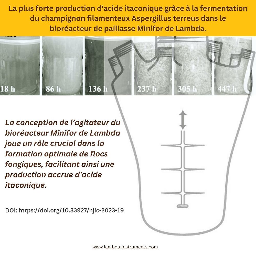 Optimisation du rendement de production d’acide itaconique : intégration du bioréacteur MINIFOR de LAMBDA avec l'électrodialyse à membrane bipolaire pour une productivité maximale