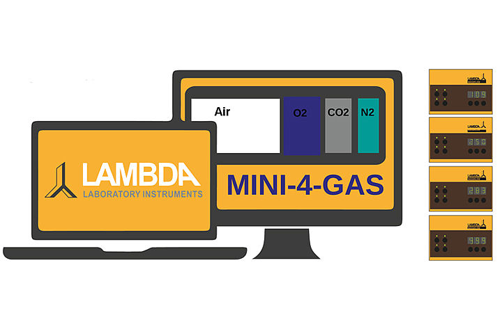 MINI-4-GAS module