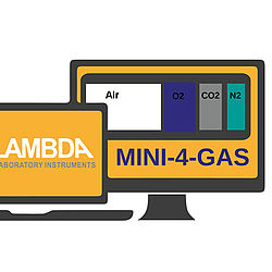 MINI-4-GAS module