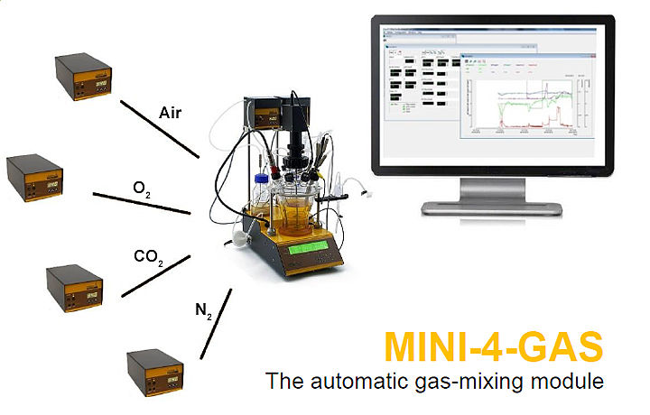 MINI-4-GAS Gasmischanlage