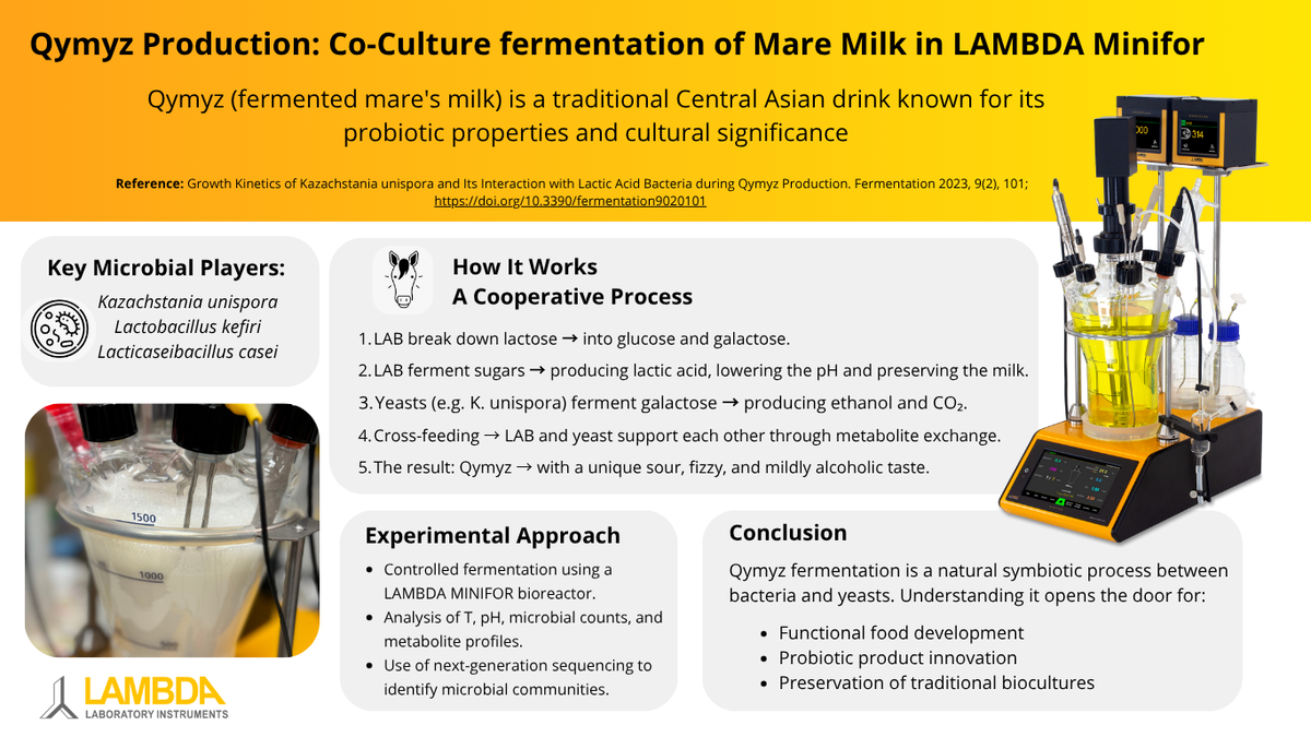 LAMBDA MINIFOR fermenter conduct controlled growth and co-culture experiments