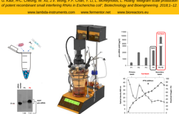 LAMBDA MINIFOR Fermentor for the high cell density E.coli cultivation 