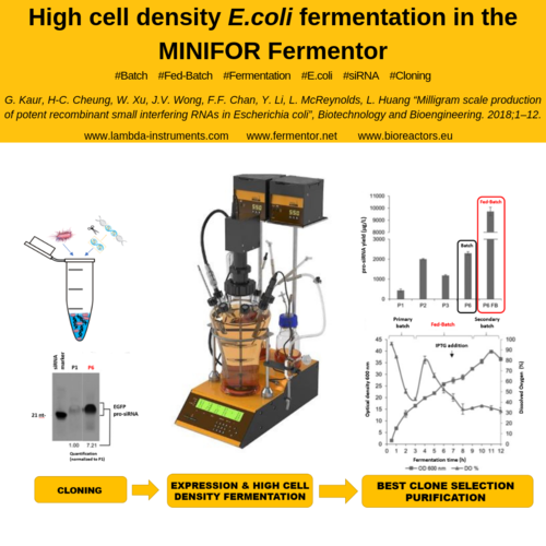 LAMBDA MINIFOR Fermentor for the high cell density E.coli cultivation 