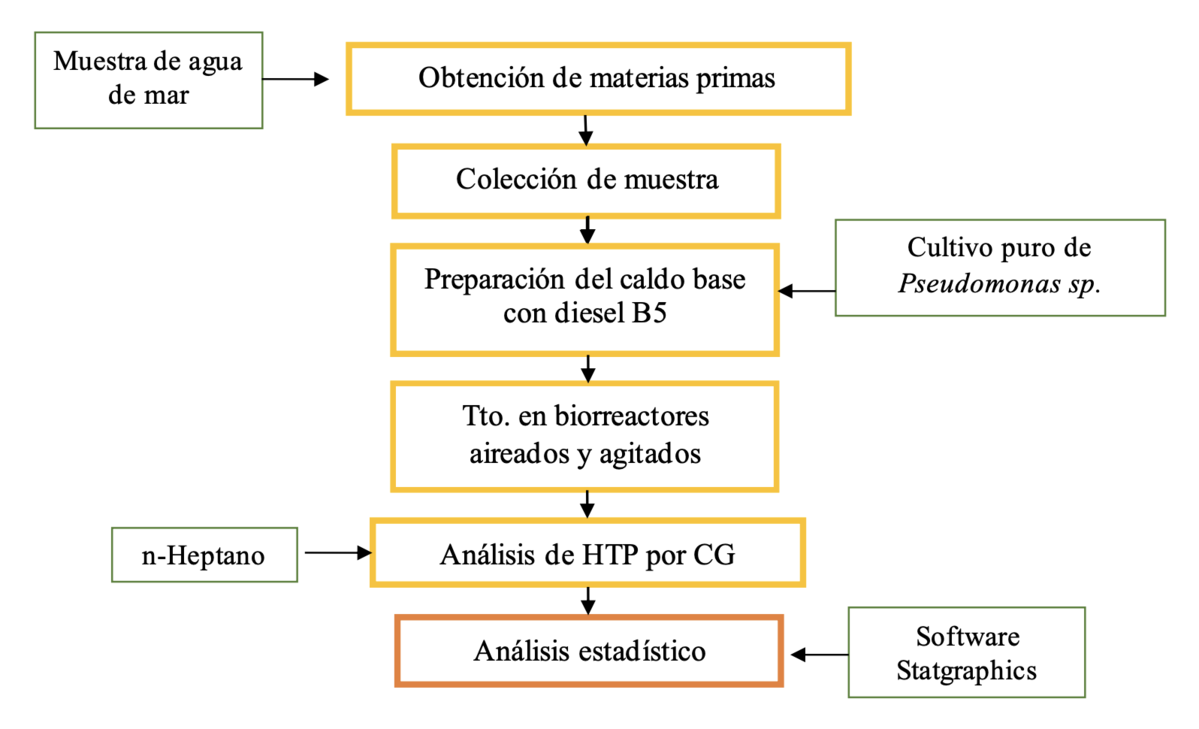 Proceso experimental de biodegradación de hidrocarburos