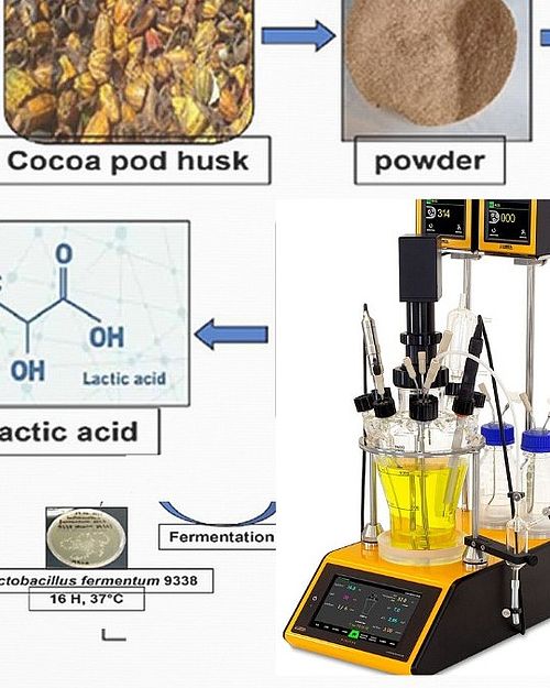 Producción de ácido láctico a partir de cáscaras de cacao por ...