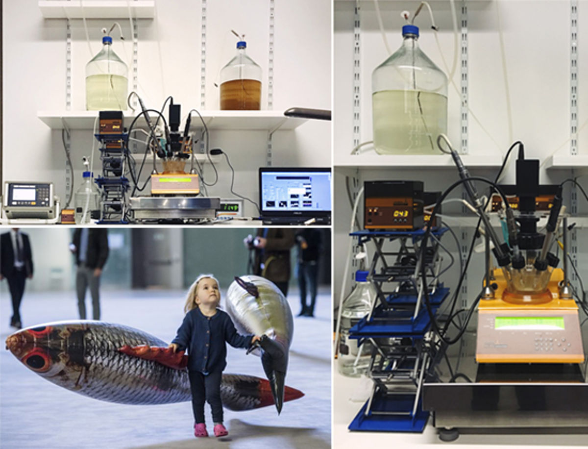 MINIFOR fermenter-bioreactor at Tate Modern, London