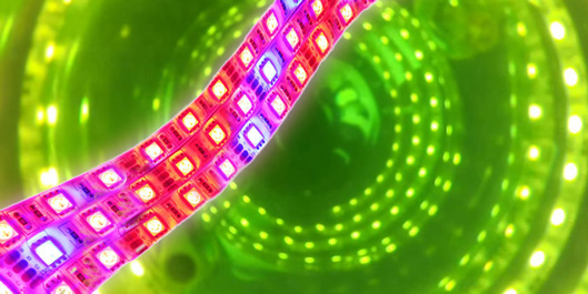 LED light source for MINIFOR photobioreactor