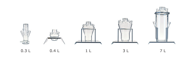 MINIFOR autoclavable fermentor and bioreactor vessels with working volume from 35 ml to over 6 l