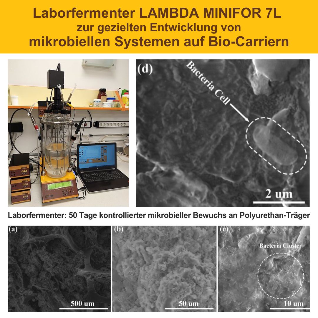 LAMBDA MINIFOR 7L Laborfermenter und die effiziente Herstellung eines mikrobiellen Ökosystems auf Polyurethan als poröses Trägermaterial