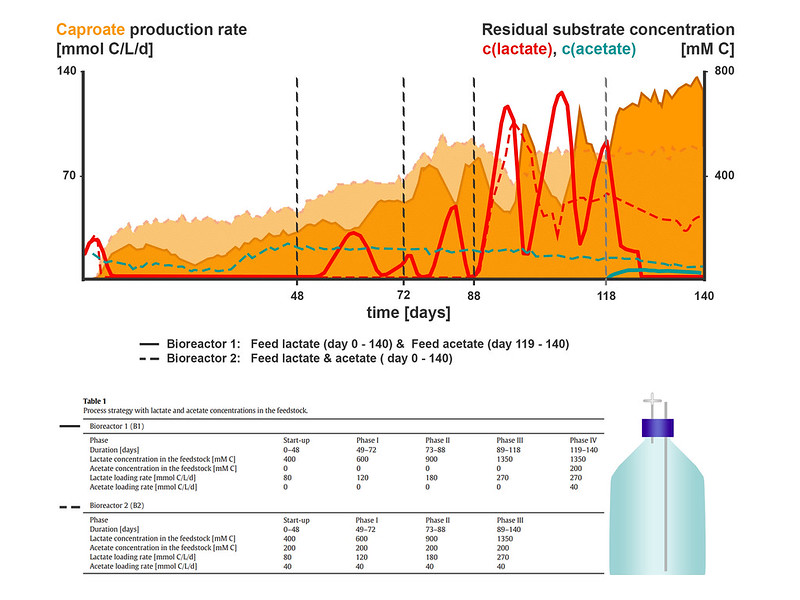 Diagramm der Capronat-Produktionsraten und Acetat- / Lactatrückstände