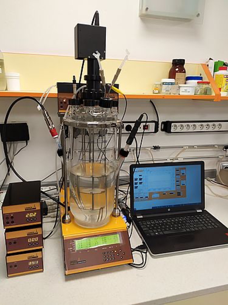 Laborfermenter LAMBDA MINIFOR 7L mit Gasflussmessgeräten und Datenerfassung