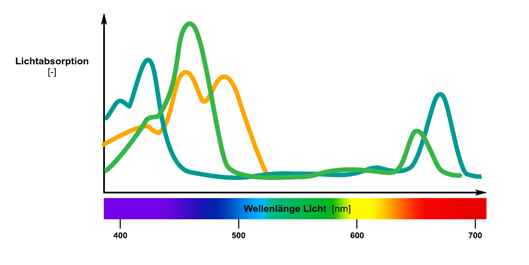 Optimale Wellenlänge für Ihre phototrophen Zellkulturen