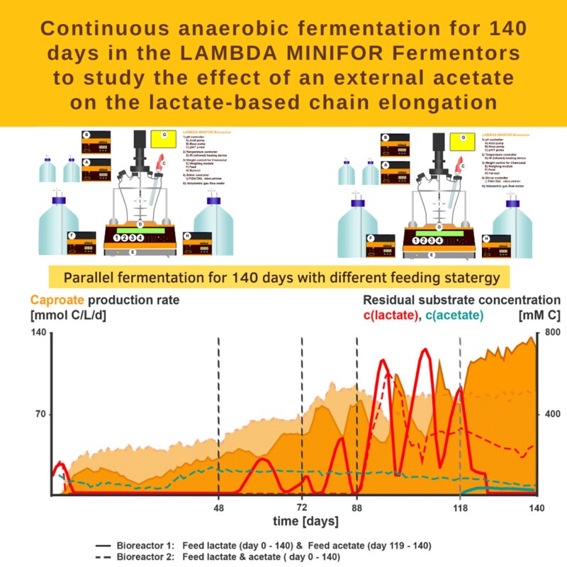 Versuchsaufbau der Technischen Universität Poznan für ihre Studie DOI: 10.1016/j.scitotenv.2021.149885 zur Überprüfung des Einflusses des externen Acetats auf das Produktionsspektrum, die Gasproduktion sowie die Stabilität & Effizienz der biotechnologische
